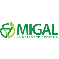 MIGAL_600